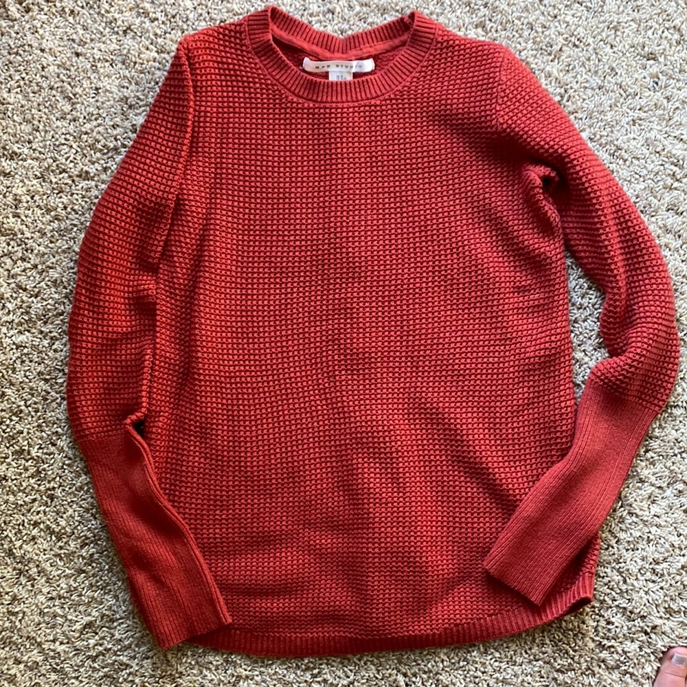 Max Studio sweater
